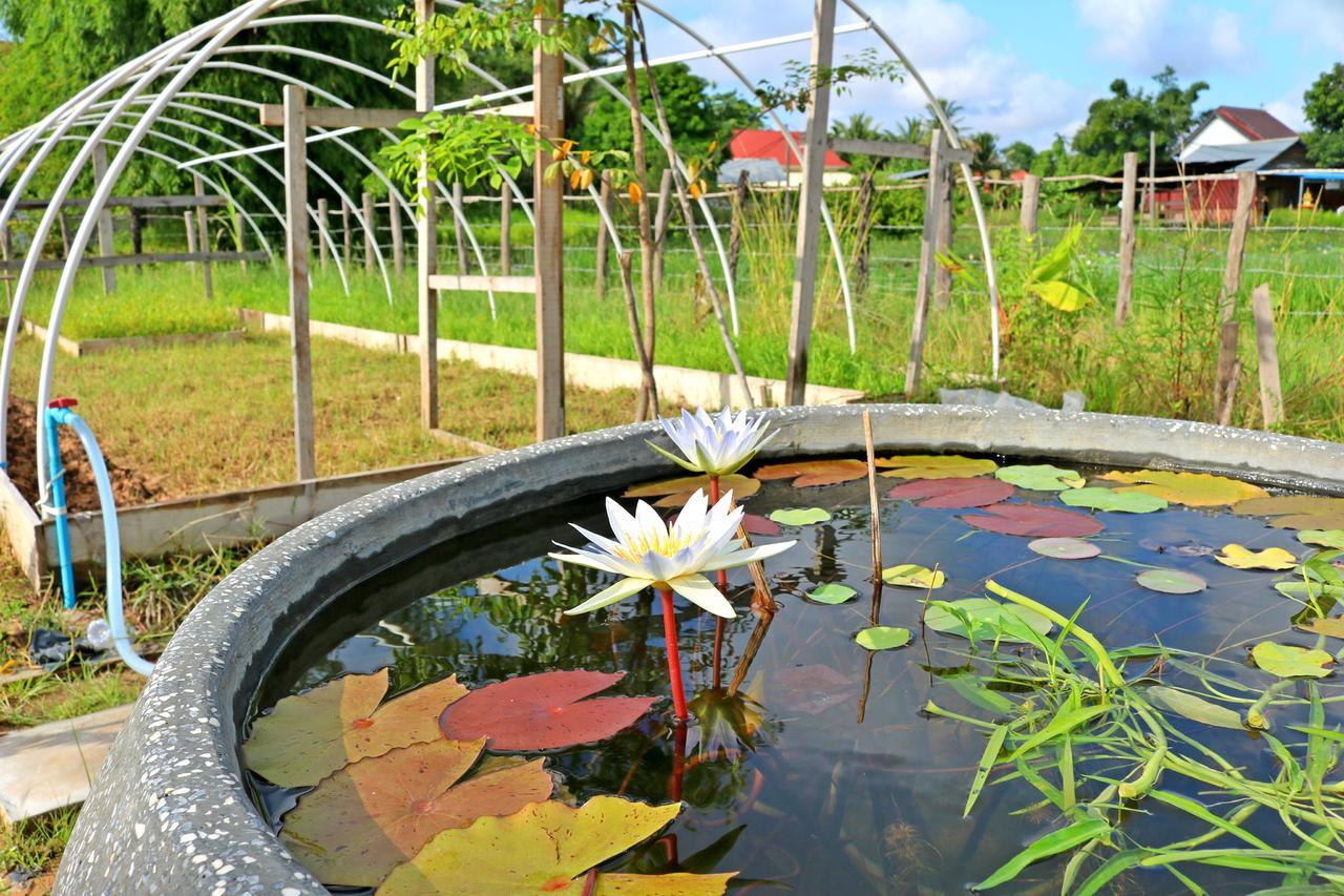 Urban Farmhouse เสียมราฐ ภายนอก รูปภาพ